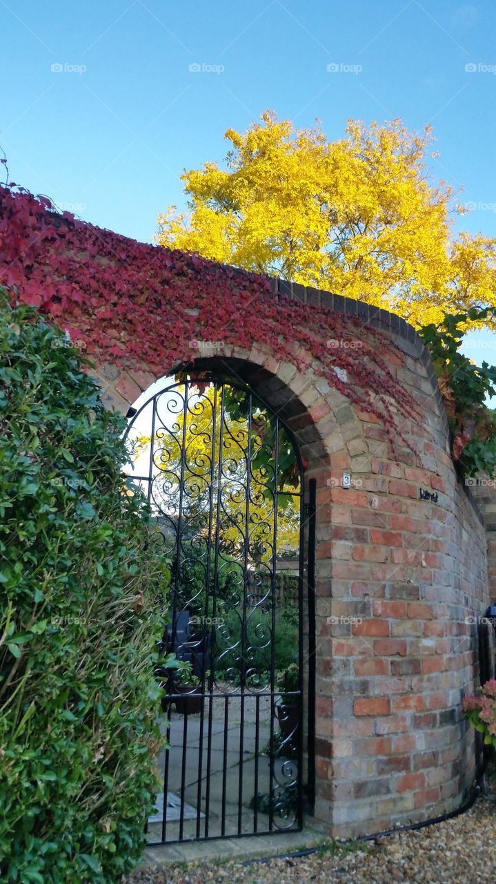 Old Ivy Gate