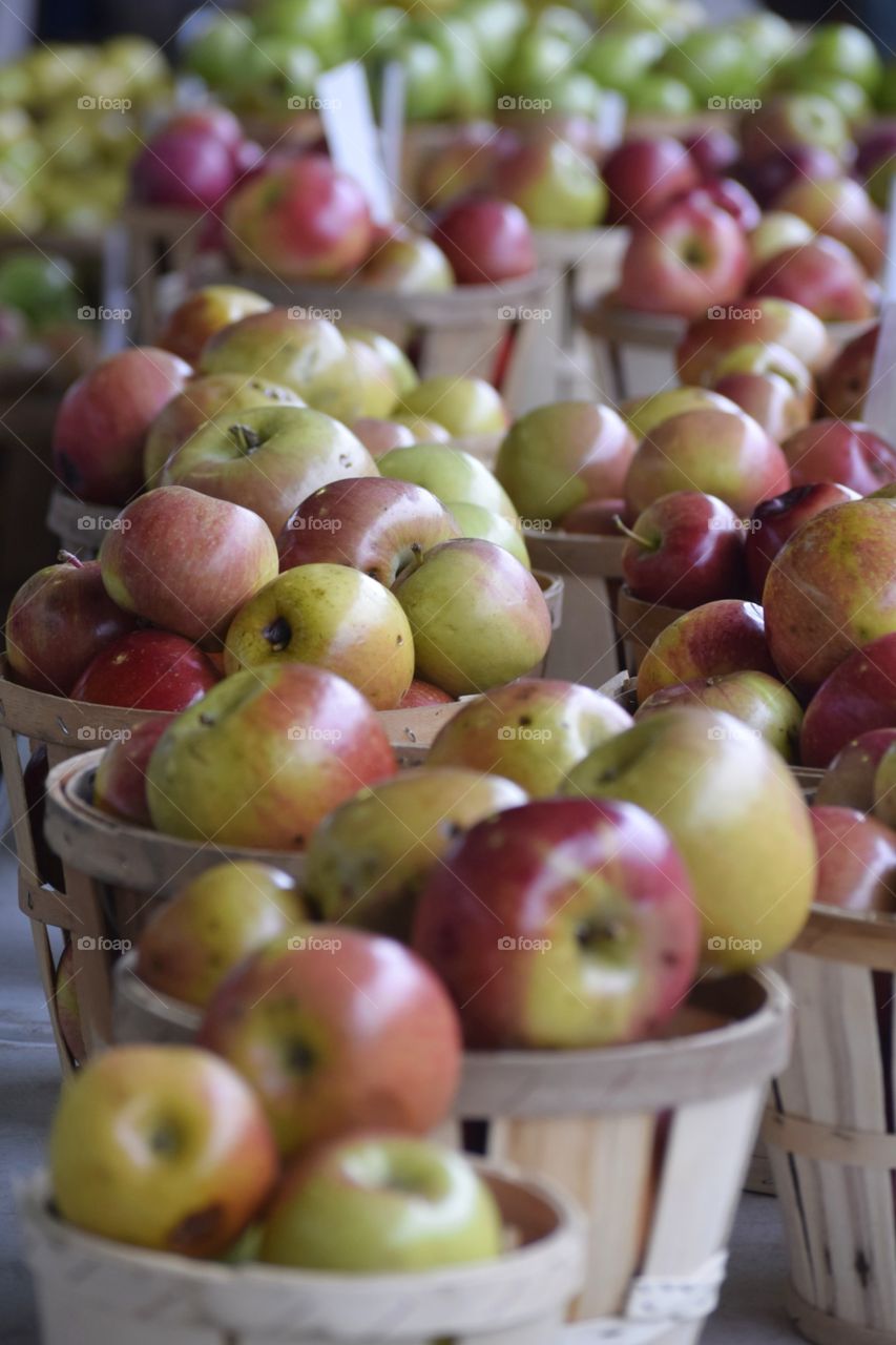 Apples in the basket