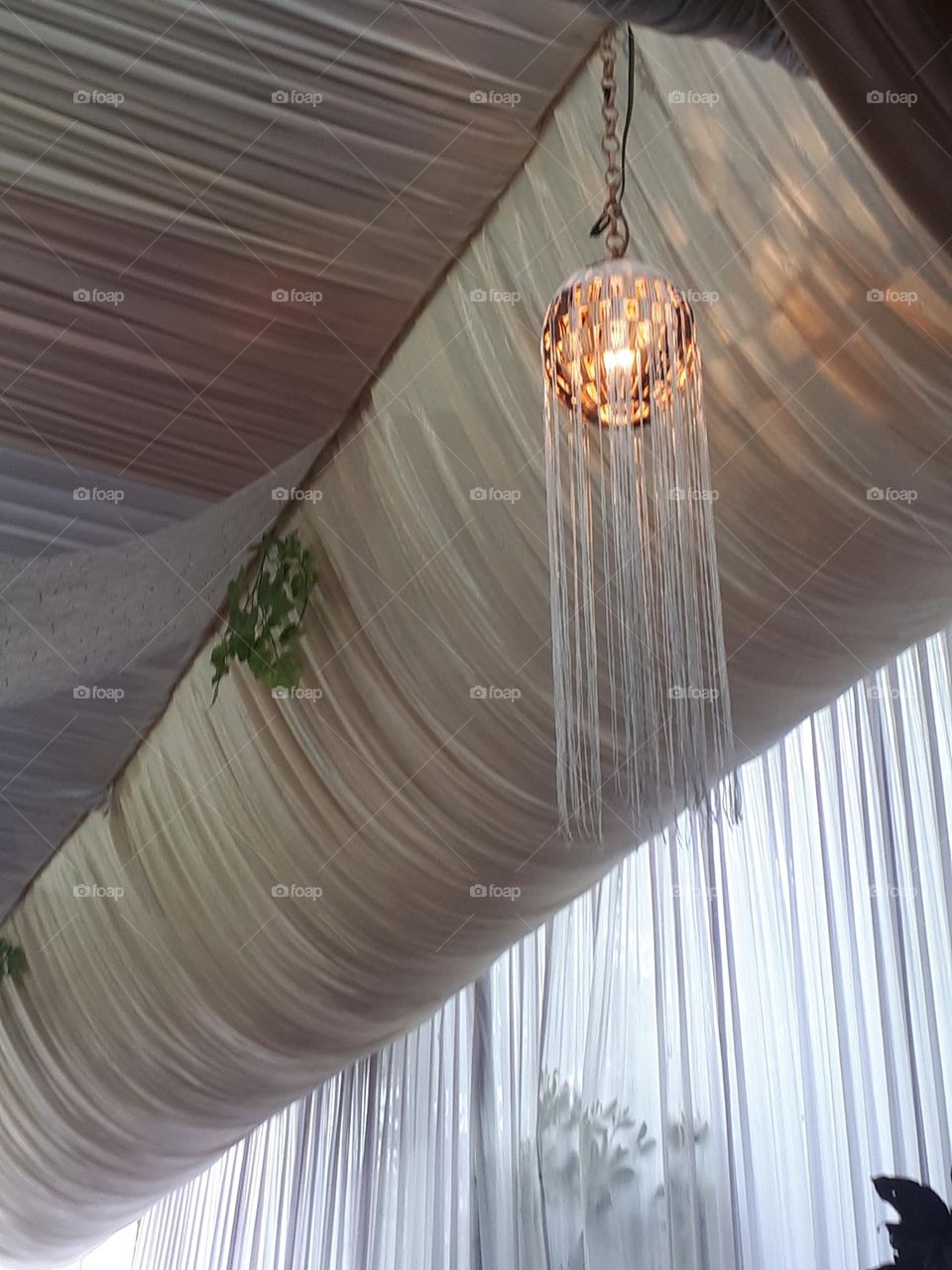 golden decorative lights on display at the party