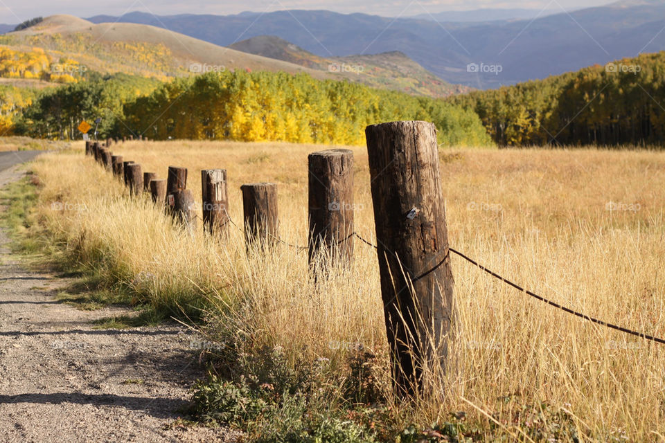 outdoors fence leaves fall by lmtrent