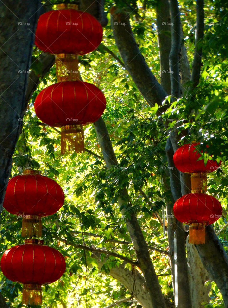 Red Chinese Lanterns
