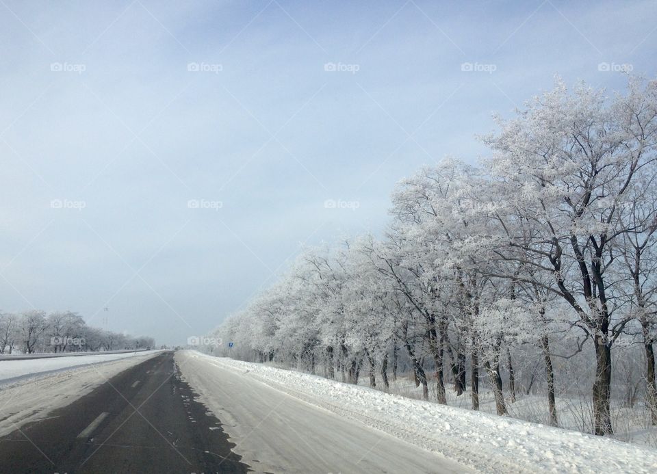 Trees and road covered with snow on the way to the city 