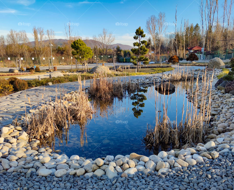 Calm afternoon around the pond