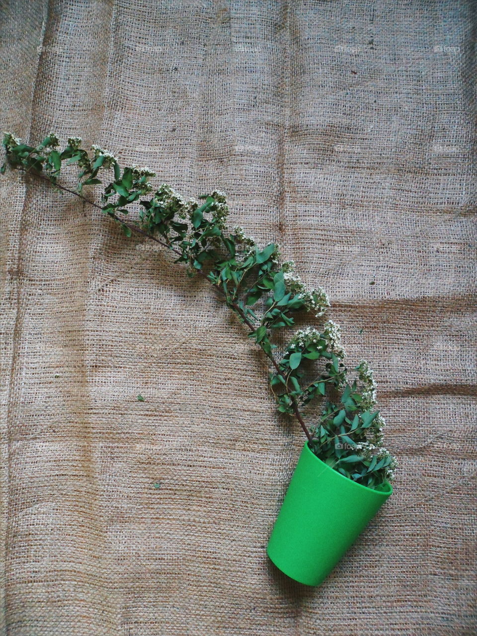 Green glass and a dry branch of flowers