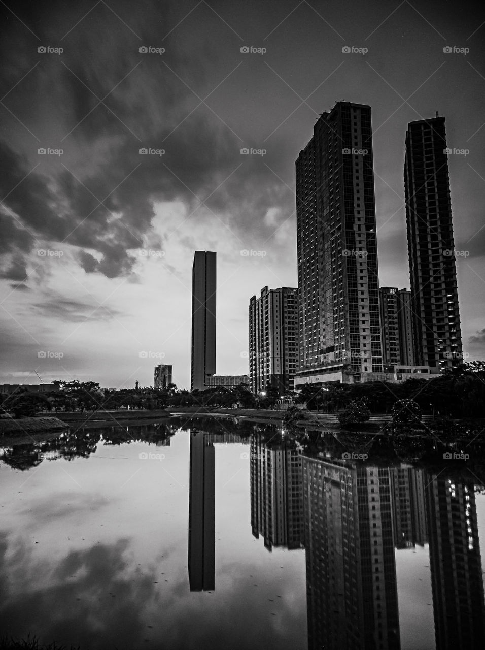 Black and White in Action