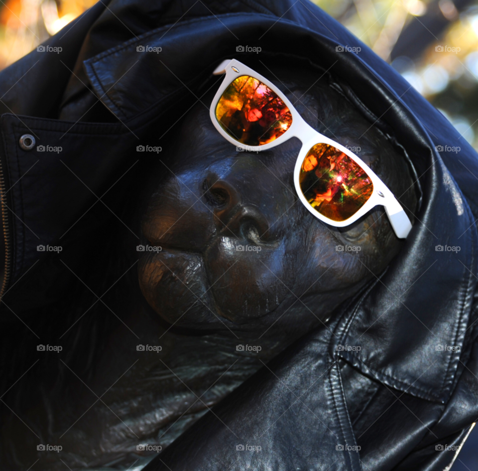 mountain statue cat sunglasses by lightanddrawing