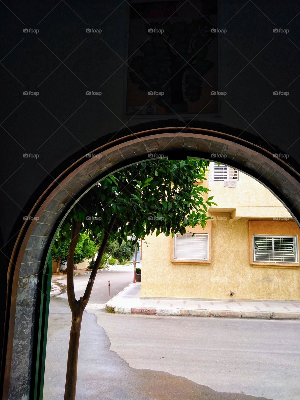 Urbain nature plants