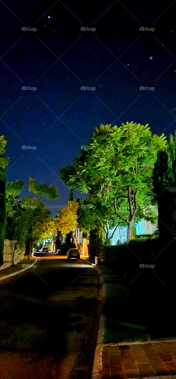 night road between trees