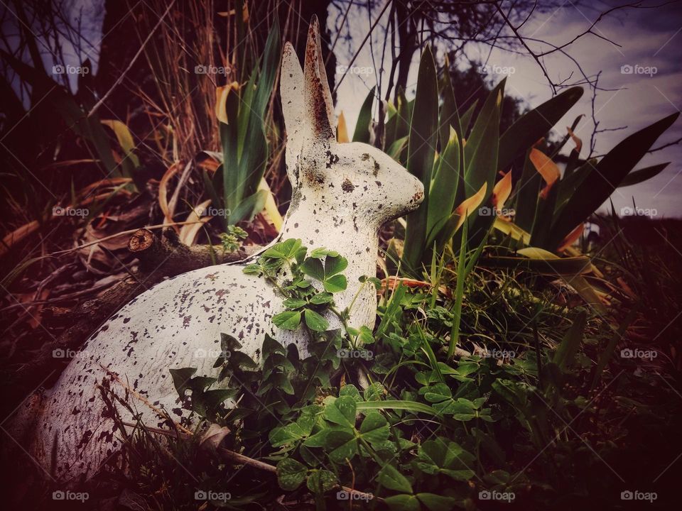 White Cast Iron Yard Art Rabbit with Clover growing around it