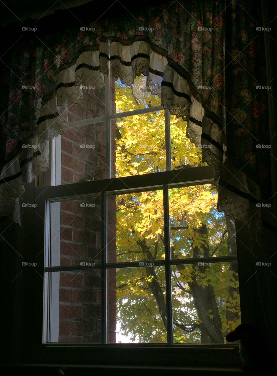 Autumn colors through a window