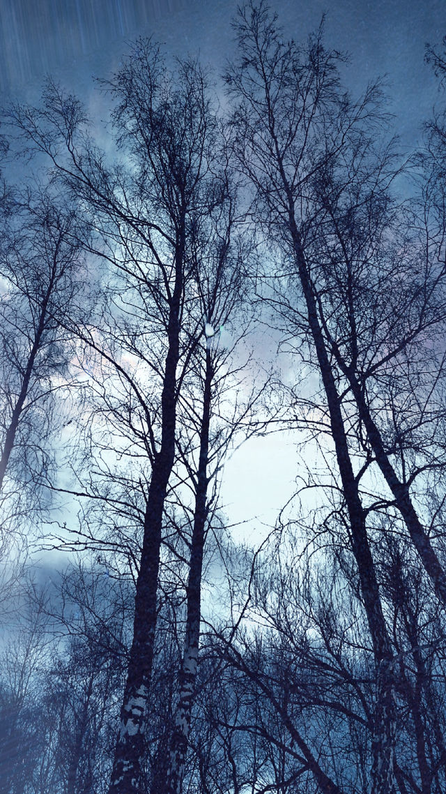 tree