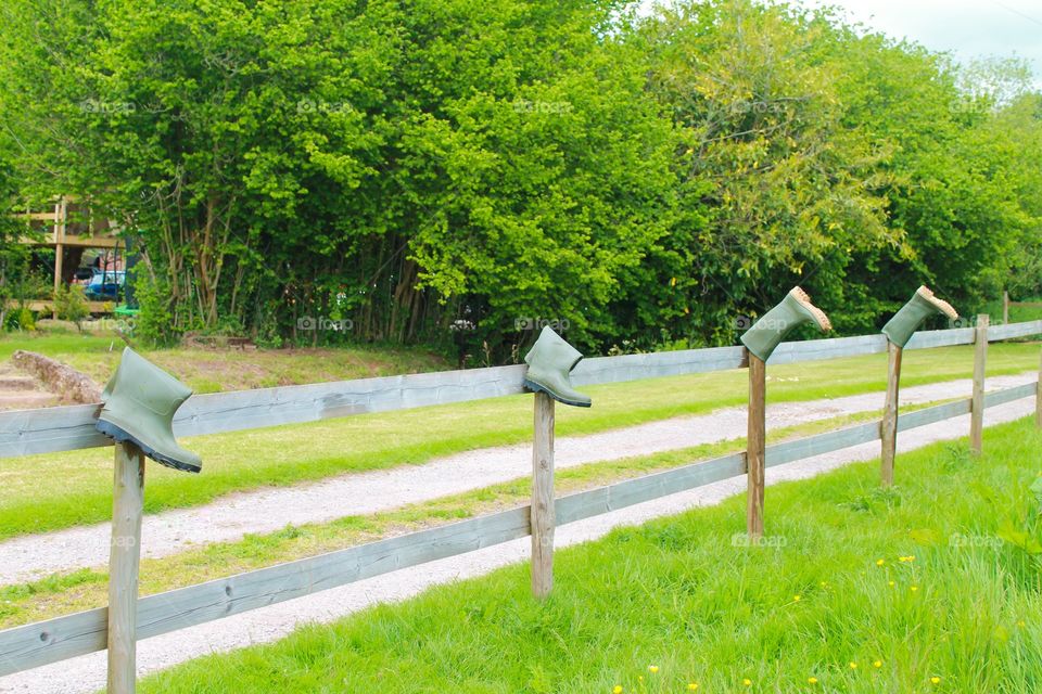 Grass, Landscape, Nature, Fence, Summer