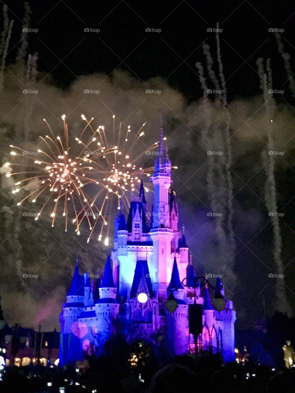 The happiest place on earth. Family Disney world trip 
