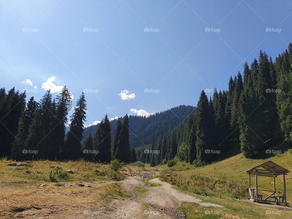 mountains view in the summer