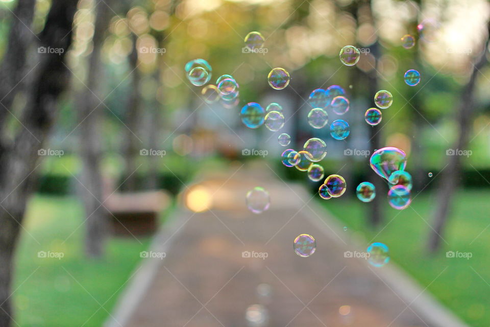 Bubble 