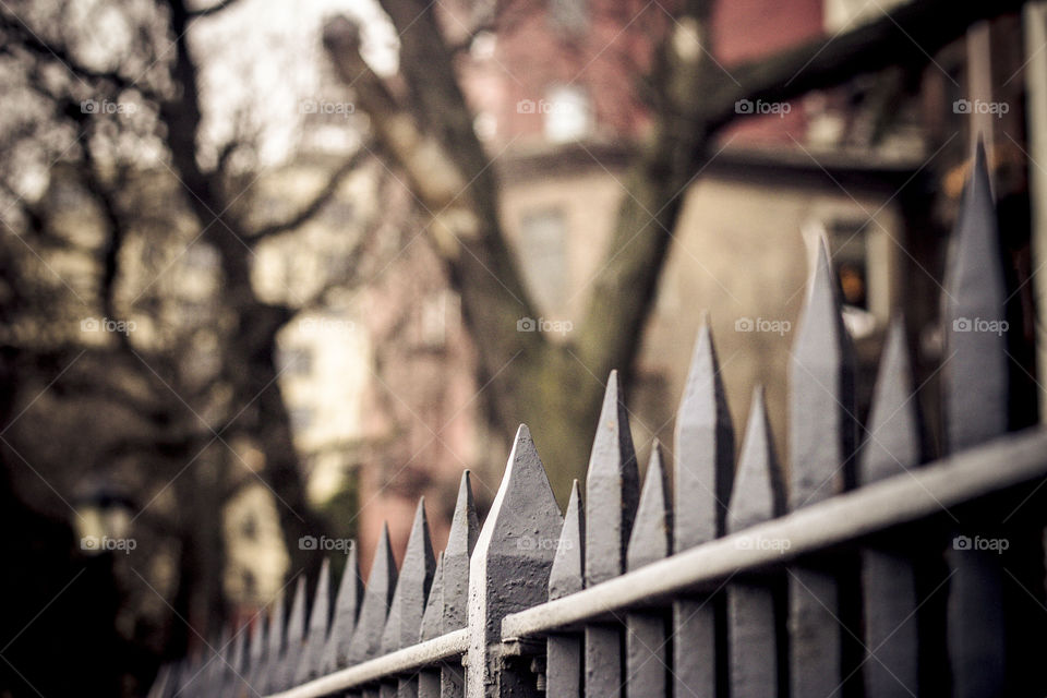 Spiked Fence