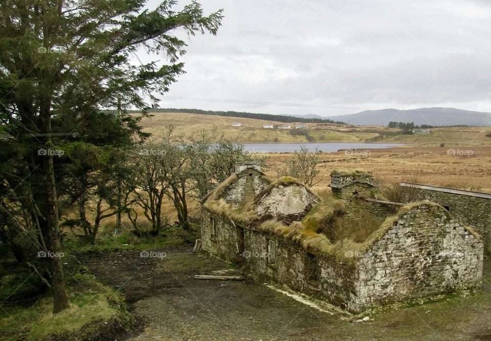 thatched roof cottage . dilapidated cottage 