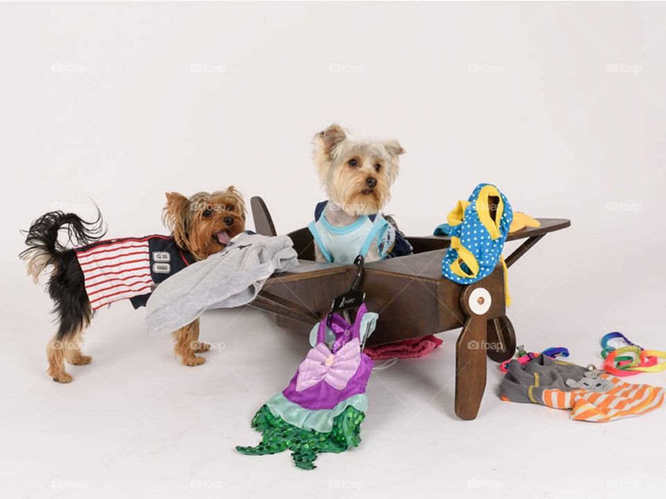 Suitcase for holiday to Beatriz y Eduard 