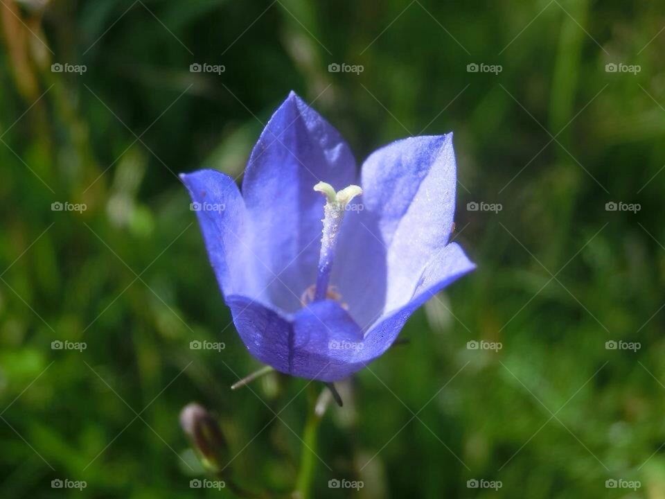 sweden ängelholm neighborhood lärkeröd by smartini65