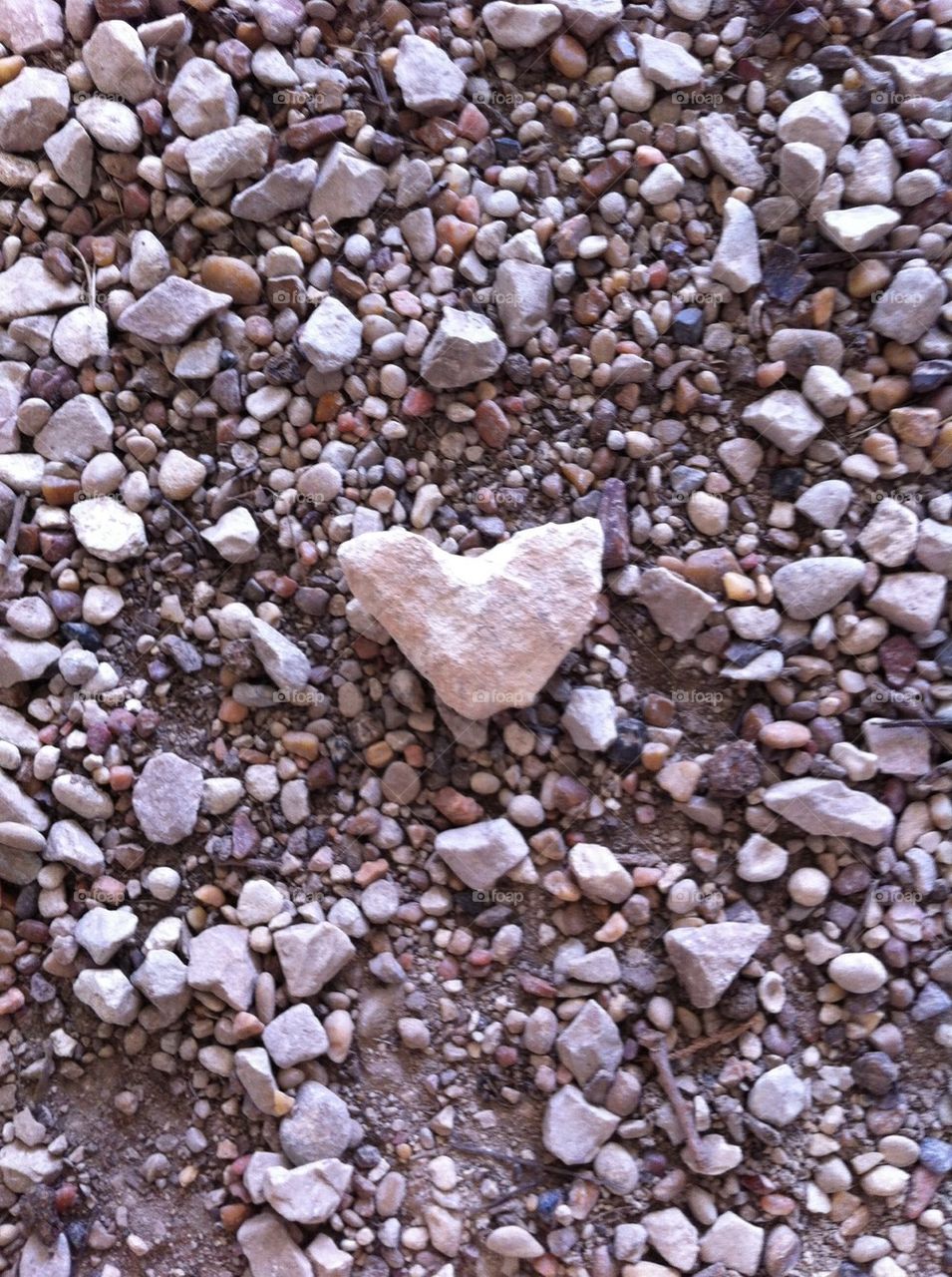 Rock heart . Came home from church as the sun shinned bright I stepped out of the car and looked down at this heart shaped rock....