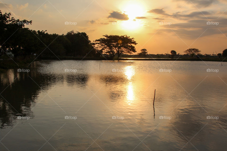 Sunset at Fish ponds - Lamongan - East Java.