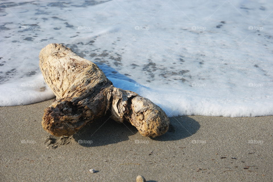 trunk at sea