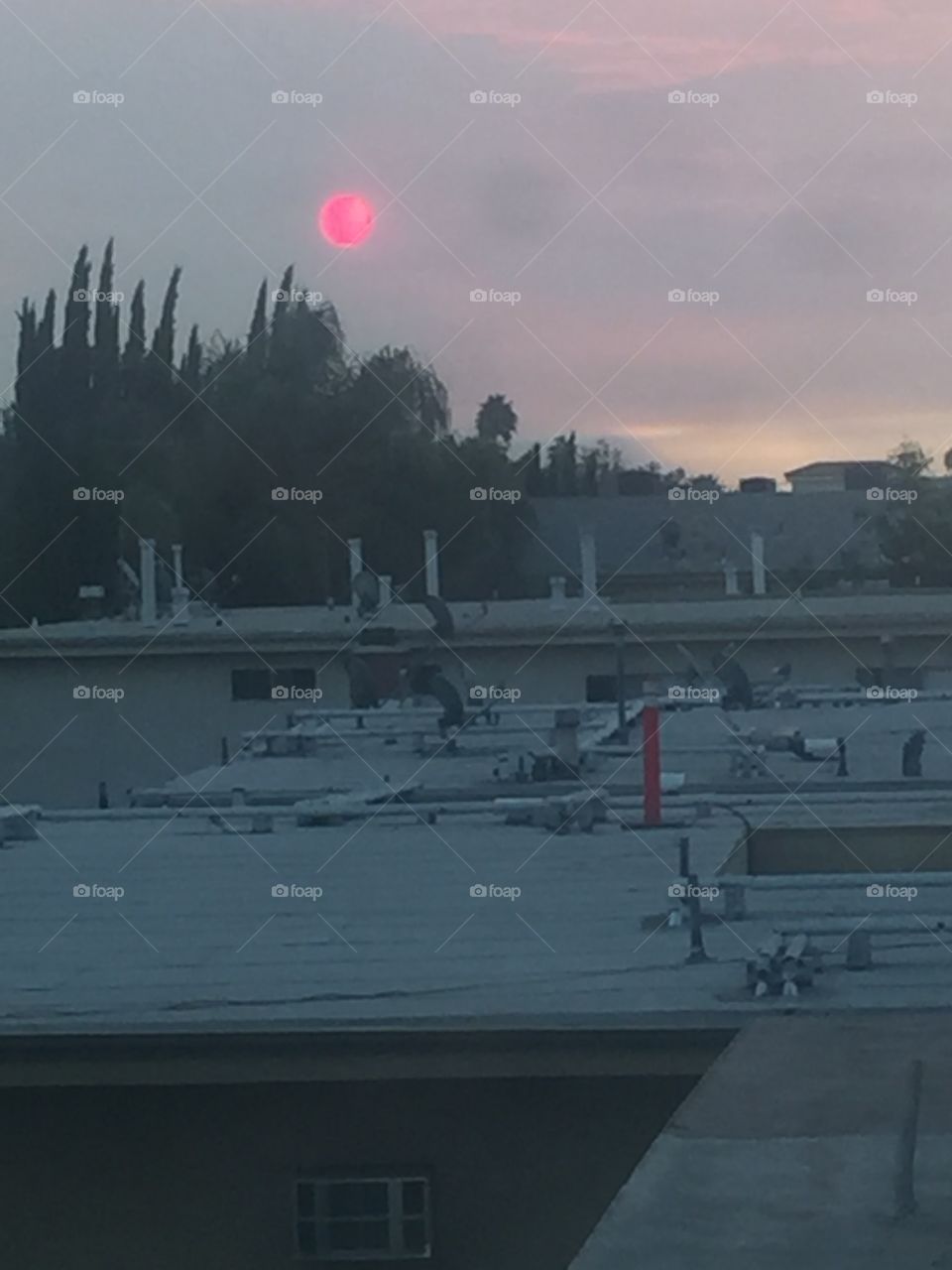 "Sunfire"- majestic snap of the rising sun the morning after the wildfire in the San Fernando Valley of Los Angeles, California USA 