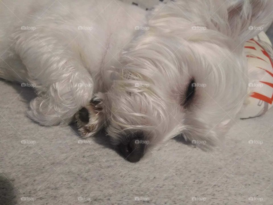 He sleep like a baby