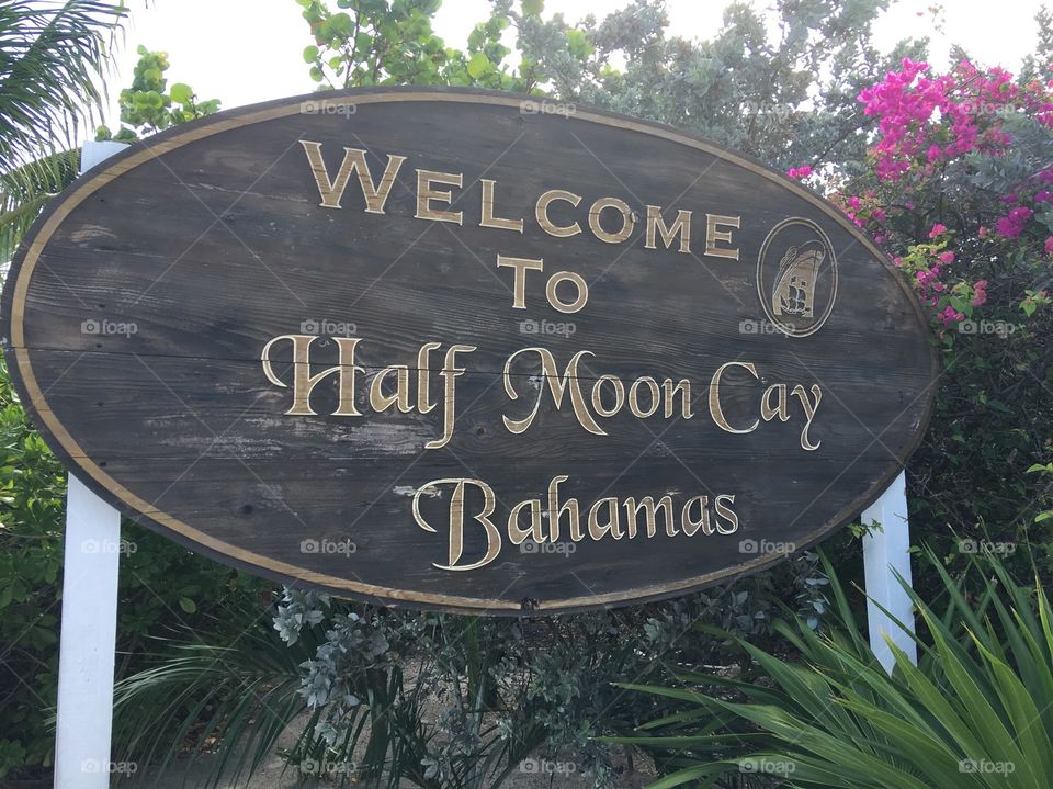 Half Moon Cay Bahamas 🇧🇸 
