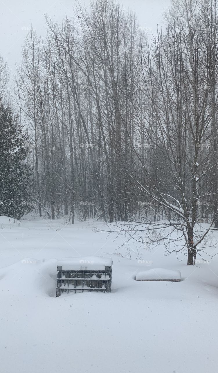 Backyard Accumulation 