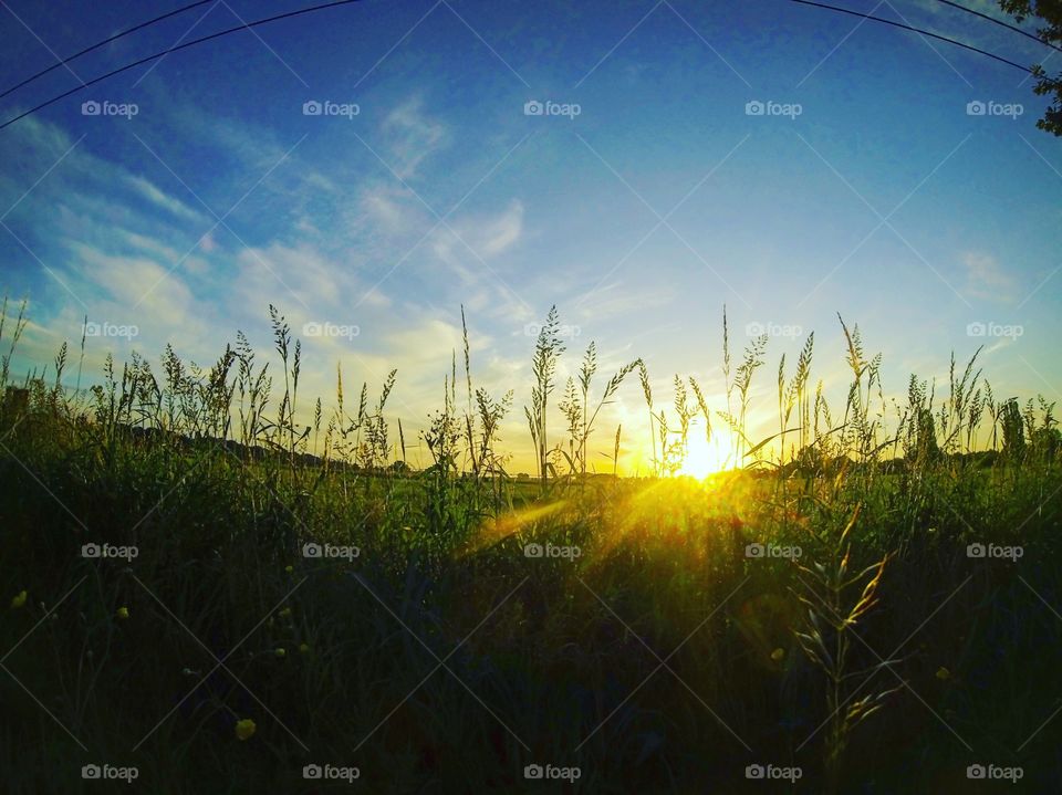 Sunset over a field 