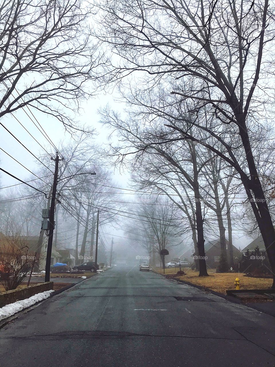 Foggy morning 