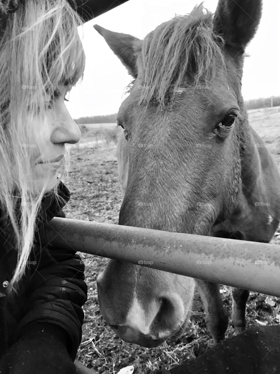 Winter stories, winter, stories, caring, horse, gate, woman, cold, hair, blond, windy, windy, rust, frozen, brown, grass, fur, eyes, ears, mammal, human, beautiful, profile, side view, day, daylight, overcast, gray, black and white