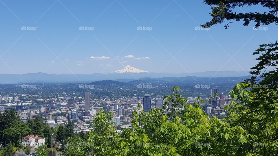 Mt Hood from Pittock Mansion