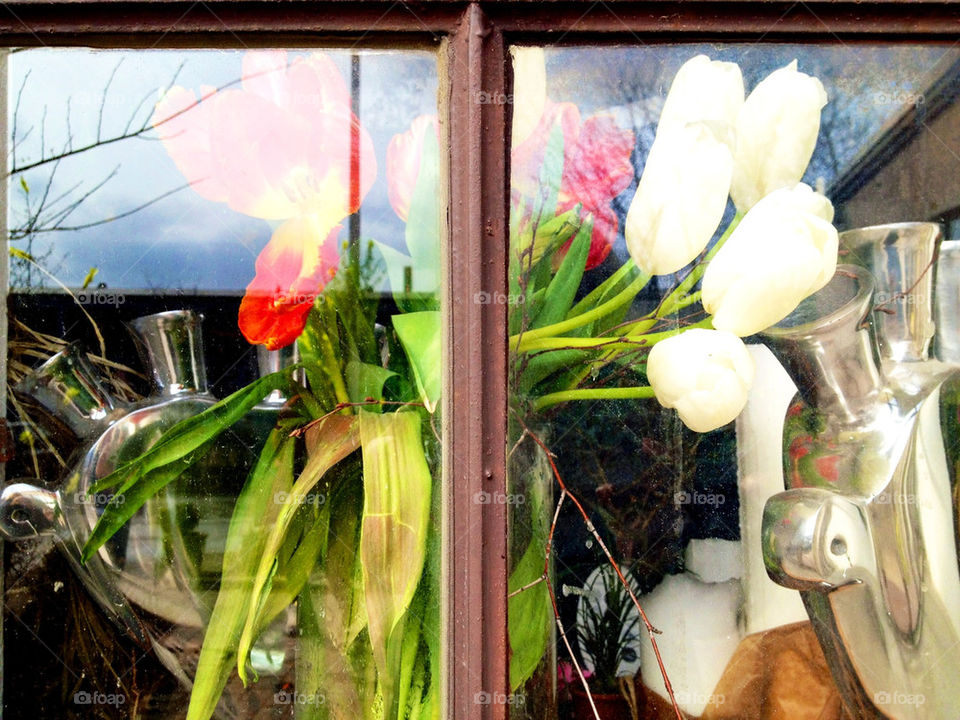 Springtime in a window