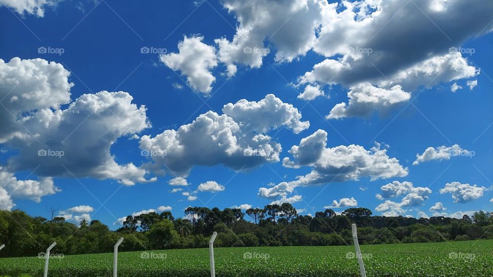 Viajando e contemplando o céu azul, as nuvens brincalhona, o pasto verde, as árvores brincando com o vento.