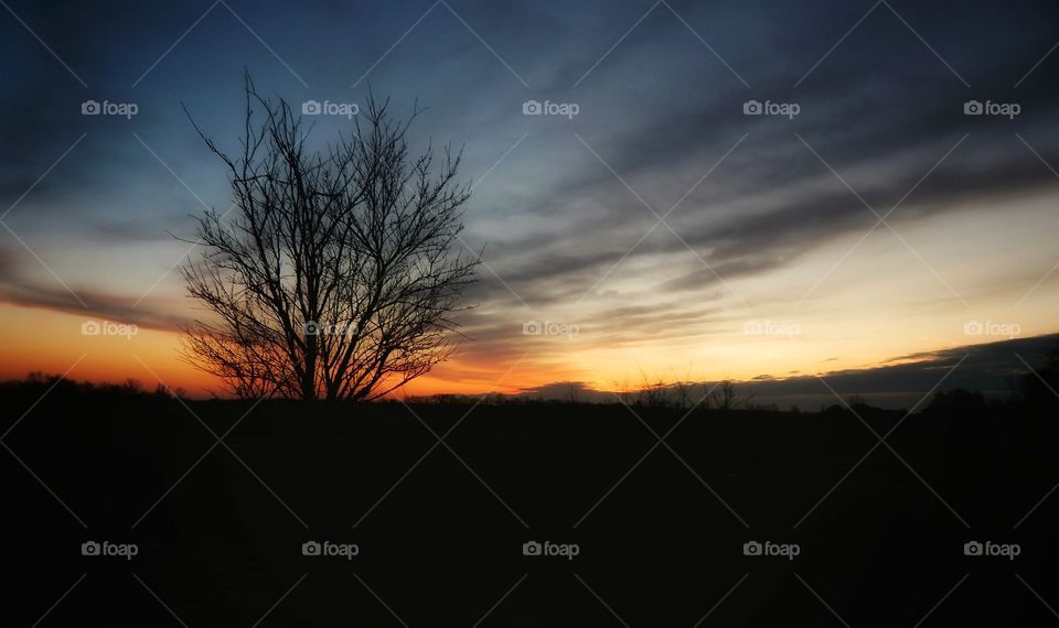 silhouette of tree in cemetery under cloudy sunset sky