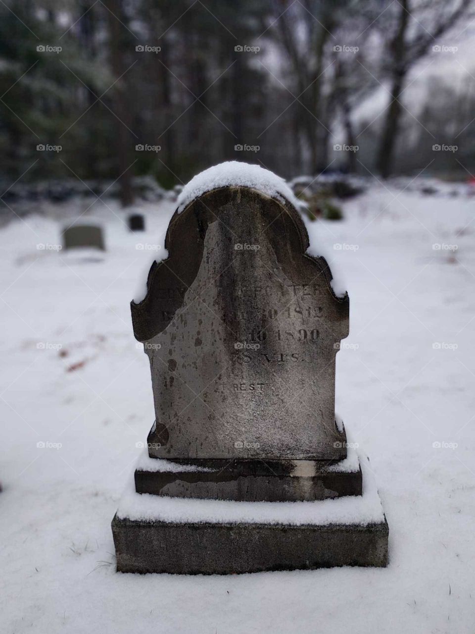 Snow, Winter, Cemetery, Cold, No Person