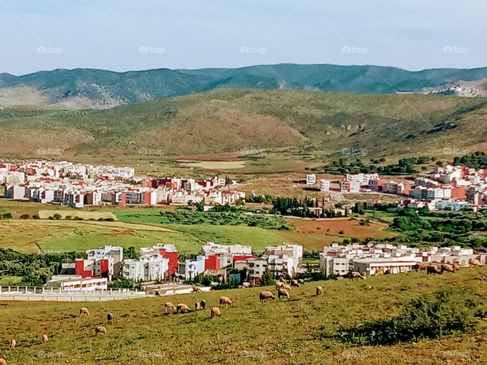 A panoramic view of a good nature