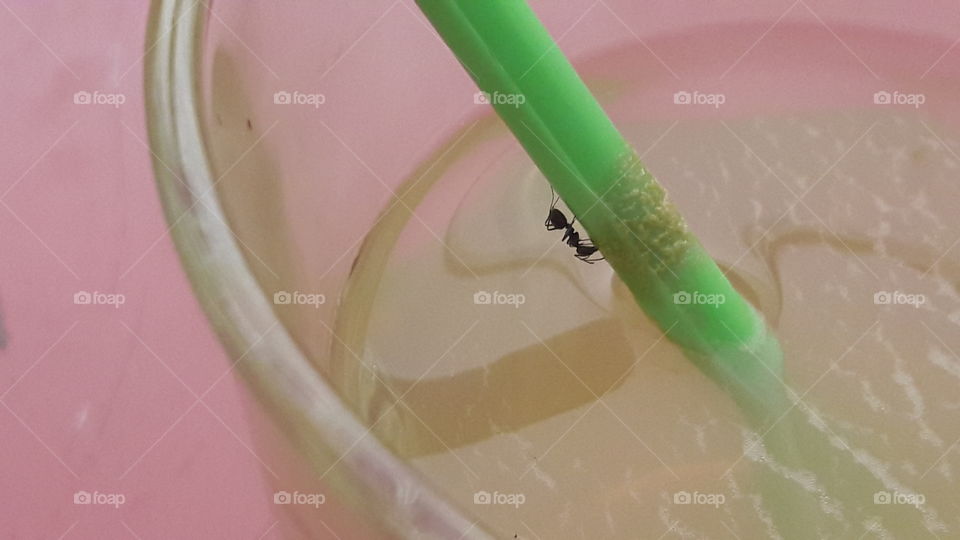 Ada gula ada semut (there is sugar there are ants)