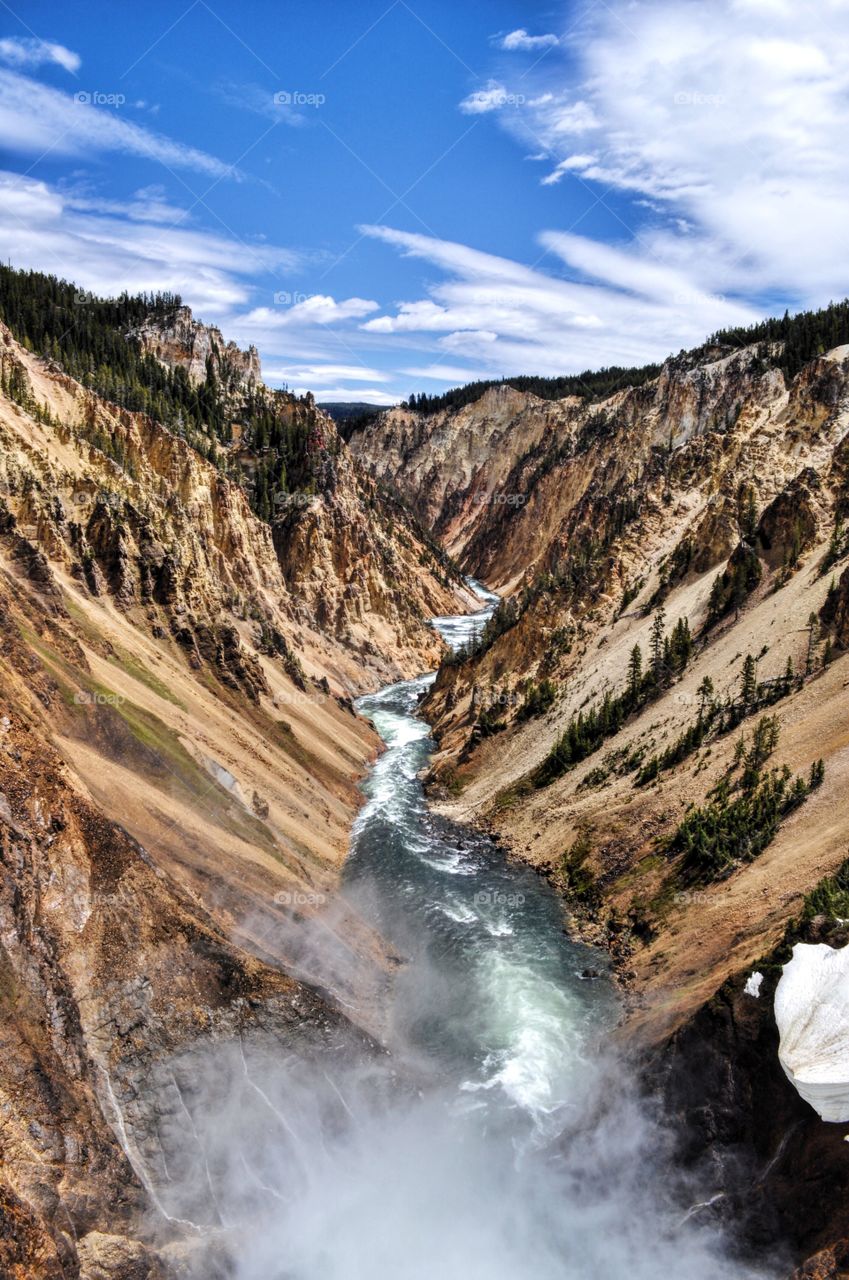 Stream at Yellowstone National Park