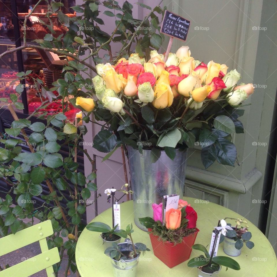 Roses for Sale in Paris