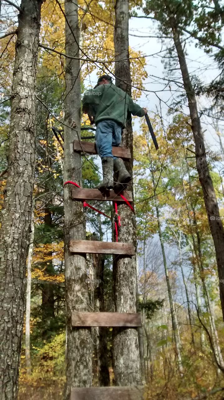 Building a Tree Stand, Upstate New York
