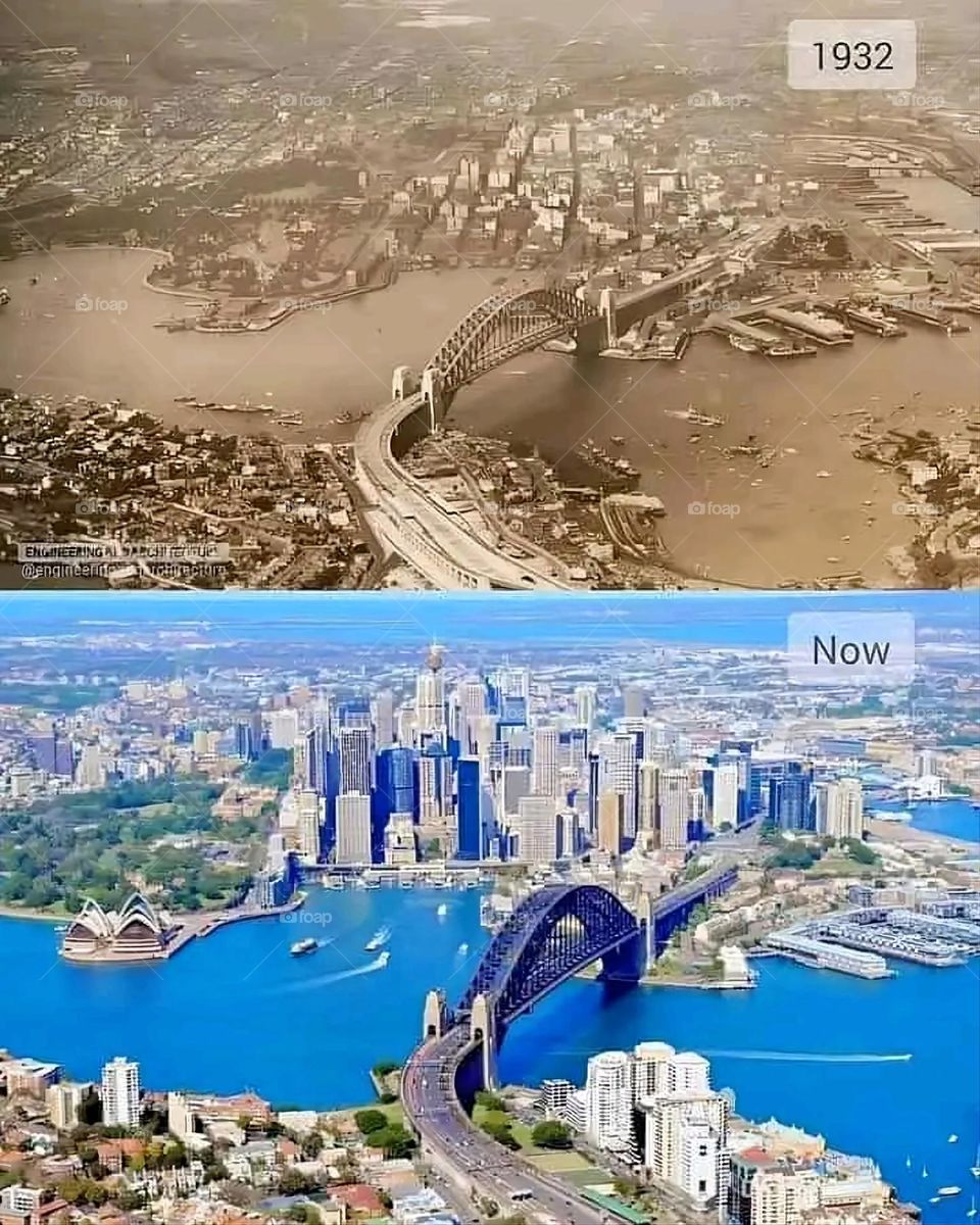 A very beautiful picture, and there is no better picture than it. There is no better picture of green herbs and colorful, red and white roses than it. Glory be to God, the natural and picturesque view, and there is no more