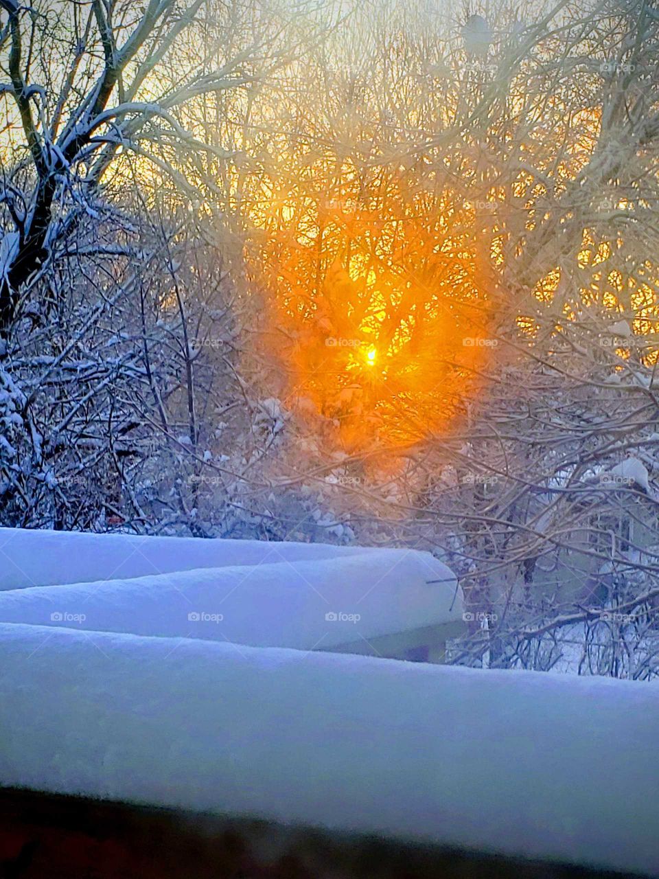 Winter's snowy morning calling organge sunrise back drop of leaf less trees waiting for Spring