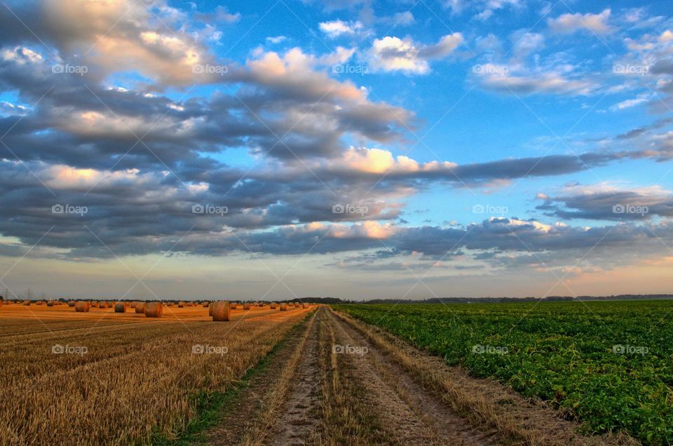Beautiful farm field scenery