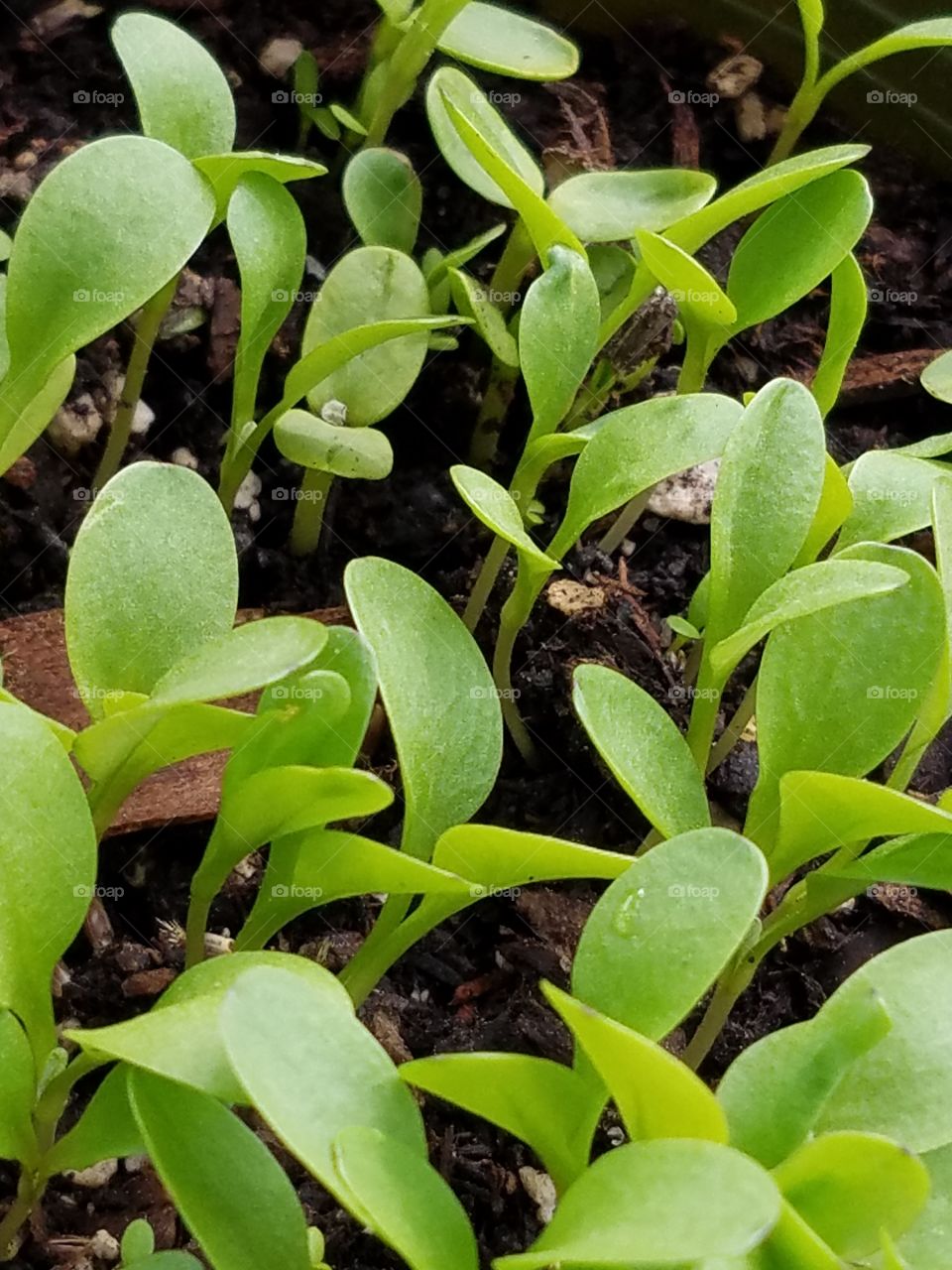 Just getting started.