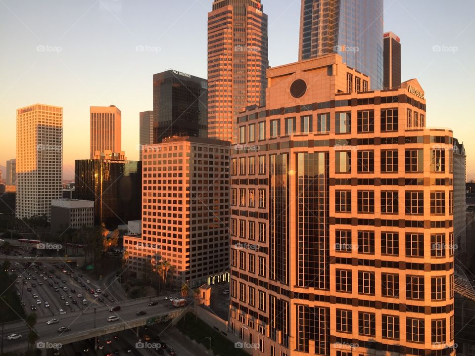 View from the office