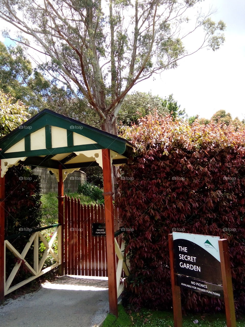 Welcome to the Secret Garden