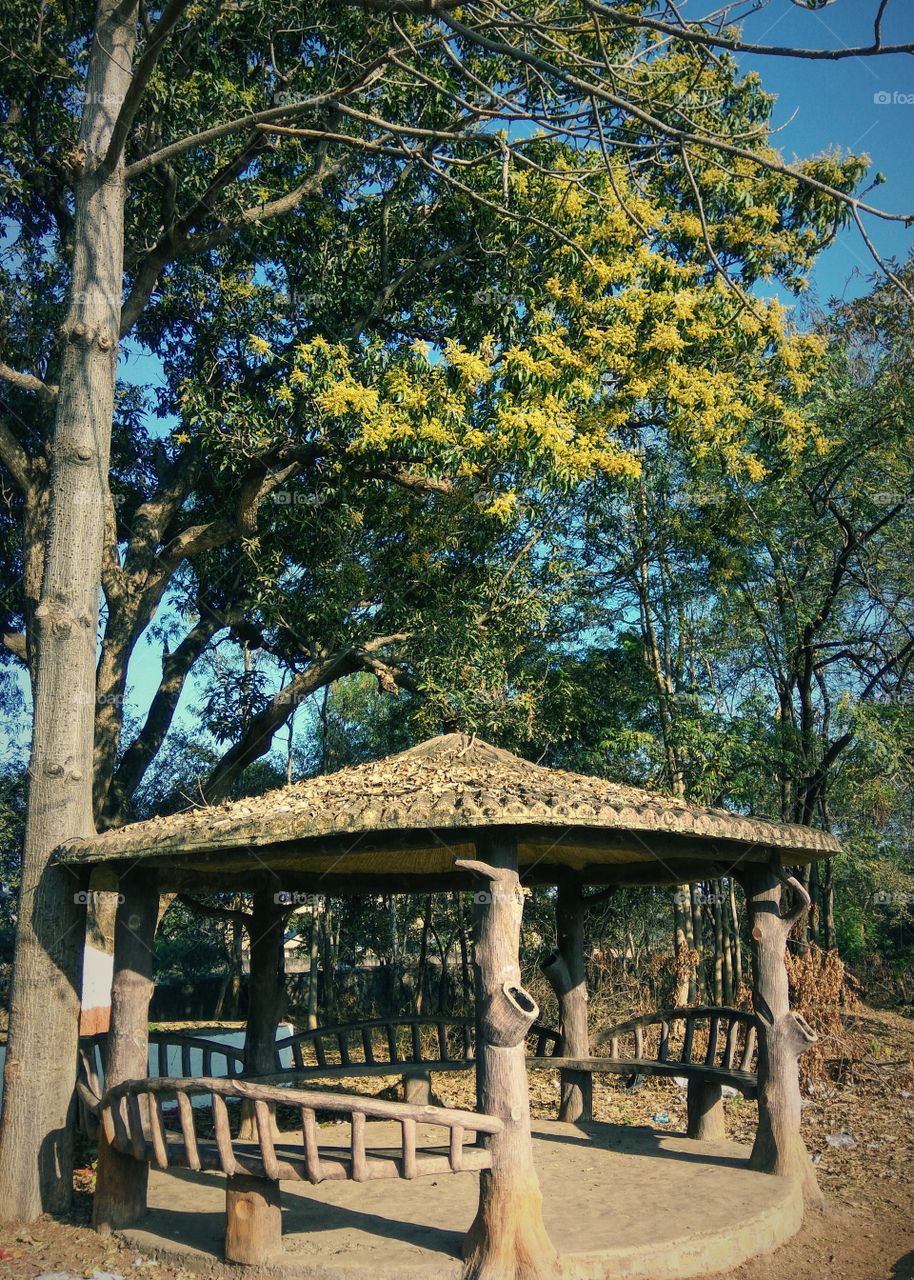 shelter in park